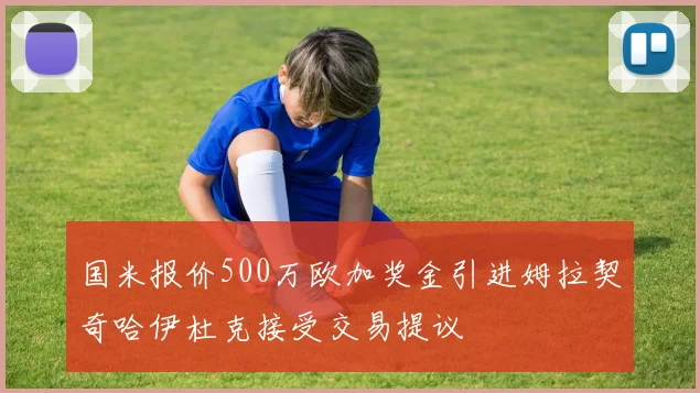 国米报价500万欧加奖金引进姆拉契奇哈伊杜克接受交易提议