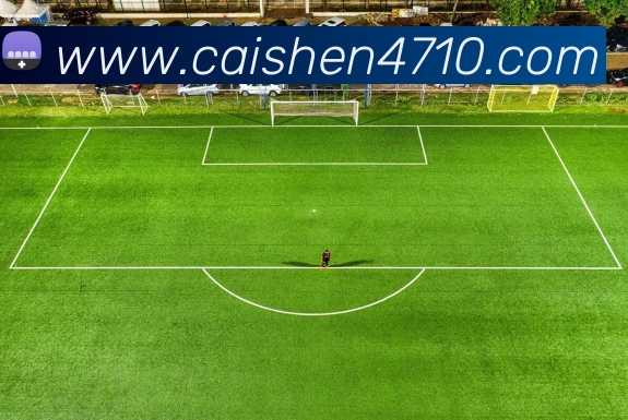 彩神vllAPP 高清赛事图